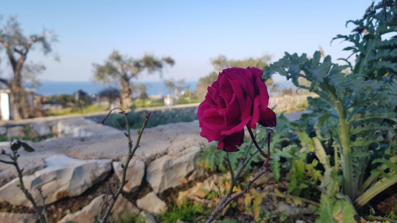 Villa Danae Gaios Exterior foto